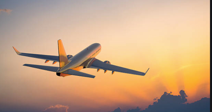 Adulthood : Good Intentions Gone Wrong